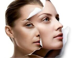 The renewal of the skin